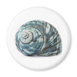 Blue Sea Shell Magnets