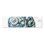 Blue Sea Shell On White Background bumper stickers