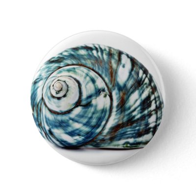 Blue Sea Shell On White Background Buttons by lifesphere