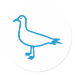 Blue Seagull
