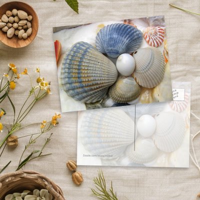 Blue Seashell Photography Postcards by millhill