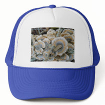 Blue Shelf Fungus Hat