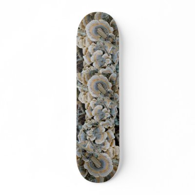 Blue Shelf Fungus Skateboard by CarolsCamera