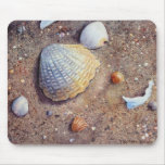 Blue Shell Mouse Pad