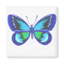 Blue Shy Fridge Magnet