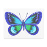 Blue Shy Post Cards