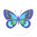 Blue Shy Stickers