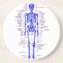 blue skeleton coaster