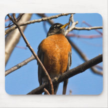 Blue Skies And Warm Weather Mouse Pad