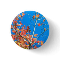 Blue Sky Autumn Tree Buttons