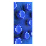 blue_spheres_wallpaper_3d_models_3d_wallpaper_1680 rack card template
