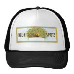 Blue Spots Mesh Hat