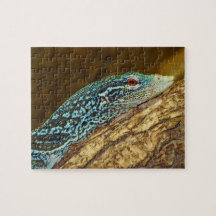 Blue-Spotted Tree Monitor Varanus Macraei