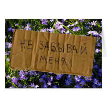 Blue Spring Flowers Russian Forget-Me-Not Greeting Cards