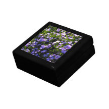 Blue Squill Spring Flowers Gift Box