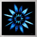 blue star posters