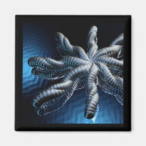 Blue Star magnets