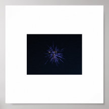 Blue Starburst Print