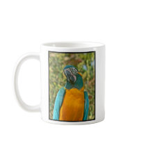 Blue-throated Macaw - Ara glaucogularis Promo Mug