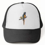 Blue Throated Macaw Hat