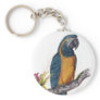 Blue Throated Macaw Keychains