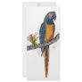 Blue Throated Macaw Rack Card Design