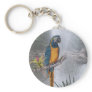 Blue Throated Macaw with Waterfall Keychains