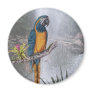 Blue Throated Macaw with Waterfall Refrigerator Magnets