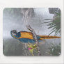 Blue Throated Macaw with Waterfall Mousepad