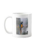 Blue Throated Macaw with Waterfall Mugs