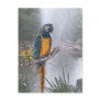 Blue Throated Macaw with Waterfall Post Card