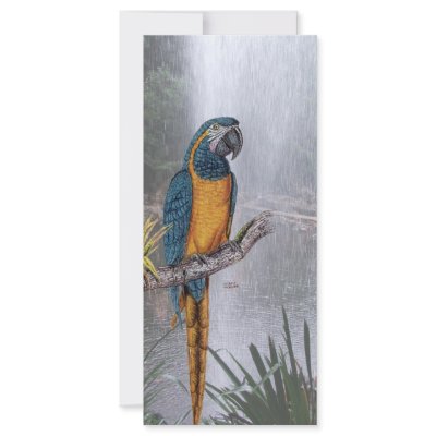 Blue Throated Macaw with Waterfall Personalized Rack Card by tshirtdart