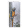 Blue Throated Macaw with Waterfall Personalized Rack Card