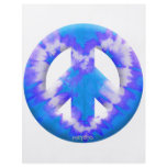 Blue Tie Dye flyers