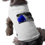 Blue tinted rose on silver back with Love text pet clothing