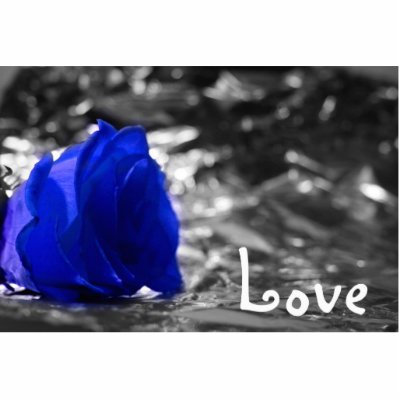 Blue tinted rose on silver back with Love text Photo Cutout by SusansZooCrew