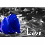 Blue tinted rose on silver back with Love text photo sculptures