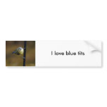 Blue Tit  2