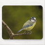 Blue Tit  3 Mouse Mat