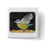 Blue Tit 8M85D-17 Pin