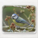 Blue Tit 8R17D-23 Mouse Pad