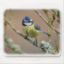 Blue Tit 8R84D-01 Mouse Mat