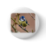 Blue Tit 8R84D-05 Buttons
