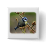 Blue Tit 8R84D-16 Buttons