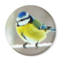 Blue Tit Bird Magnet