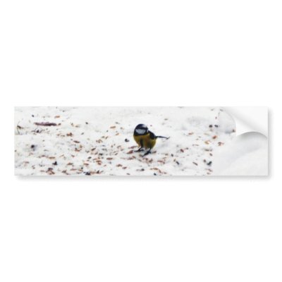 Blue Tit Eating Seed Bumper Stickers by lifesphere