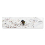 Blue Tit Eating Seed bumper stickers