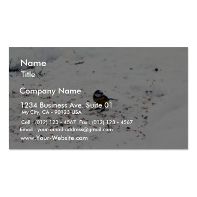 Blue Tit Eating Seed Business Card Templates by lifesphere