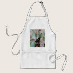 Blue Tit in the Ivy aprons