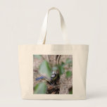 Blue Tit in the Ivy bags